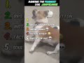 Ranking the Funniest Dog JUMPSCARES 💀 #shorts