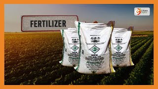 | Day Break | Fake Fertilizer: Where's the accountability