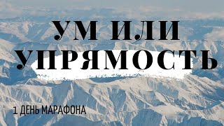 Инсайды каждый день. Марафон. День 1. Ум или упрямость - что важнее для успеха?