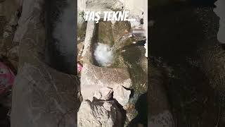 Yapım Tarihi Bilinmeyen Mükemmel Taş Oyma Tekneli Pınar Ve Üzerindeki Bulgur Sokusu...açıklama Var. Resimi