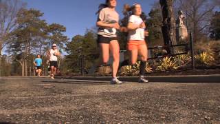 One City Marathon