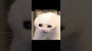 🫠😭 #class12 #motivation #student #jeeproblems #exam #physics #pcm#reletable #shorts #fpyシ #ytshorts