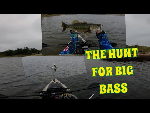 THE HUNT FOR BIG BASS
