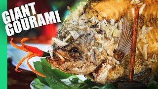 The Ultimate MEKONG DELTA Tour | Eating a GIANT GOURAMI!!