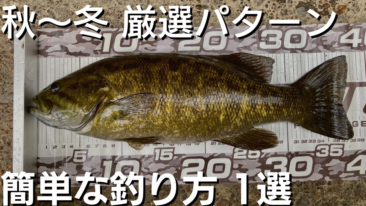 バス釣り 秋から冬の厳選1パターン 簡単な釣り方 新潟 川スモール Youtube バス釣り 秋から冬の厳選1パターン 簡単な釣り方 新潟 川スモール Youtube