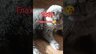 Давайте Актив