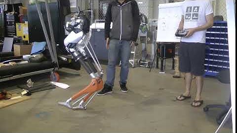 Cassie robot stepping with a neural network policy