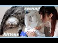 A Day In My Life At Home In Japan || Kittens & Sewing