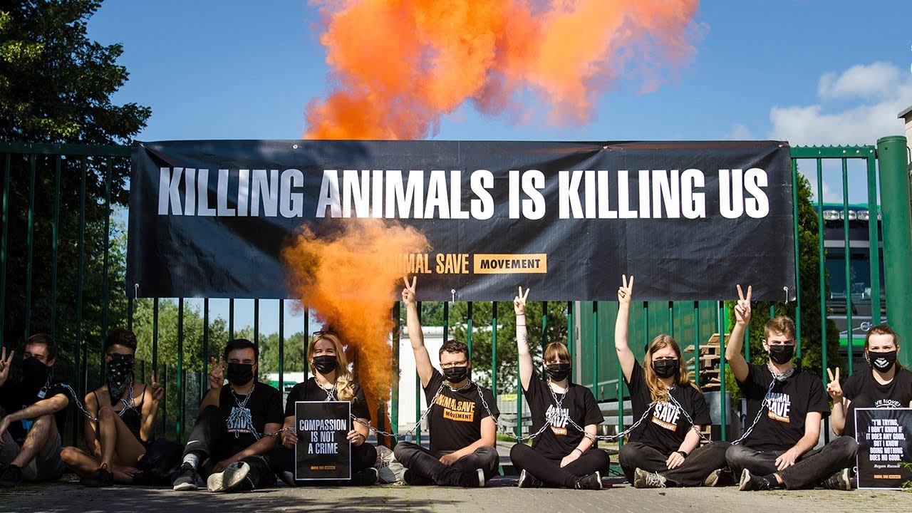 Slaughterhouse LOCKDOWN to Honour Regan Russell | Animal Save Movement -  YouTube