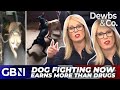 &#39;You&#39;re PATHETIC, you make me SICK!&#39; | So-called &#39;gangsters&#39; behind 34% rise in illegal dog fights