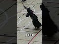 お手本にすべき胴#剣道