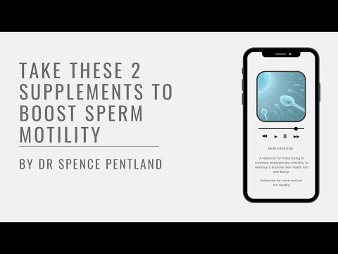Baby sperm whale