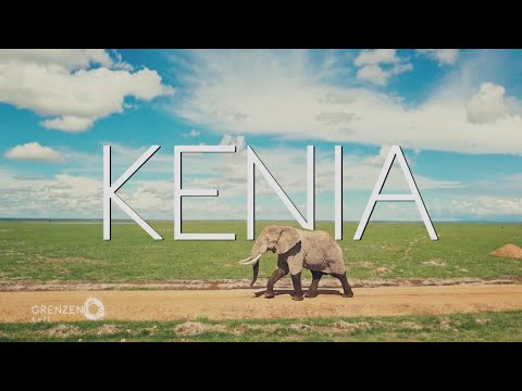 Video: Entdecken Sie die Vögel von Kenia, Afrika