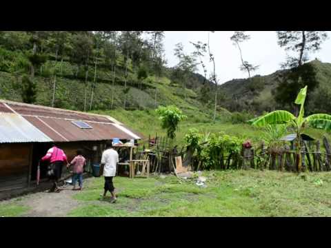 Video: Pengiktirafan Dan Mencari Penjagaan Komplikasi Ibu Dan Bayi Yang Baru Lahir Di Daerah Jayawijaya, Provinsi Papua, Indonesia: Kajian Kualitatif