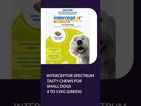 Video: Was ist Interceptor für Hunde?