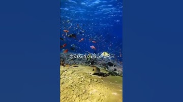 ﴿ وَلَهُۥ مَن فِى ٱلسَّمَـٰوَٰتِ وَٱلْأَرْضِ﴾سورة الأنبياء – الآية 19 #ارح_قلبك #القرآن_الكريم