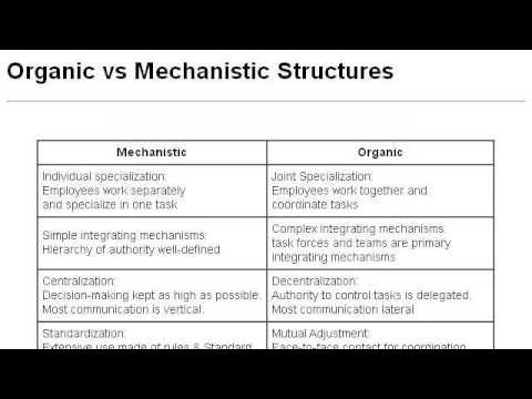 mechanistic organic structure vs organizational