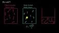 Gazların Kinetik Moleküler Teorisi ile ilgili video