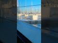 Stfu #boatlife #sailing #boatcat #pennyattack
