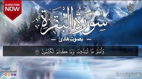 سورة البقرة كاملة بصوت القارئ{ إياد مهرة}