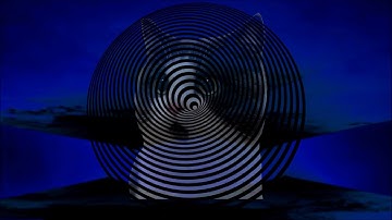 Bart Brokx - Windows XP (Official Music Video)