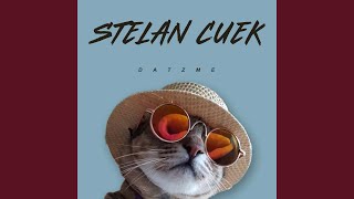 Download Lagu Stelan Cuek MP3 Download Lagu Stelan Cuek MP3