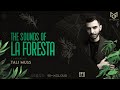 The sounds of la foresta ep 31  tali muss