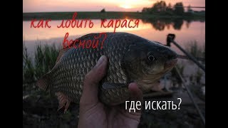 Карась как ловить весной?Где искать?На что ловить?Когда нерест у карася? Карась как ловить весной?Где искать?На что ловить?Когда нерест у карася?