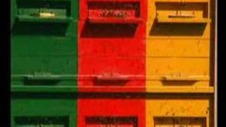 Maribor-Pohorje (Slovenia) and the oldest vine in the world