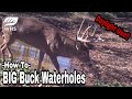 Create DAYLIGHT Deer Waterhole Hunting