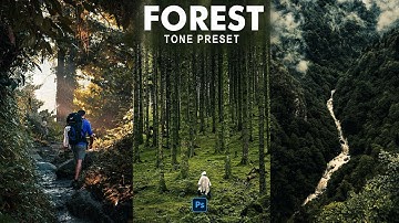 Forest Tone | ColorgradeTutorial #photoshop #tutorial #photoshoptutorial #colorgrading #moody