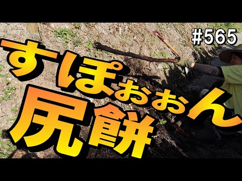 頑固な竹の根っこ…手で捻り千切ってやったぜ… - YouTube