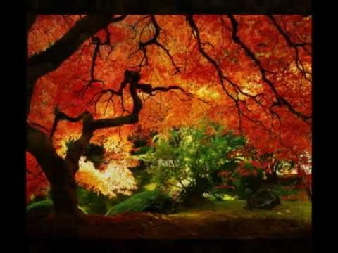 francoise hardy rendez vous d automne lyrics l 233 gende d automne musique du film francoise hardy rendez vous d automne lyrics l 233 gende d automne musique du film