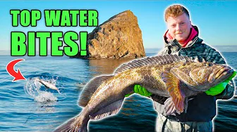 Multi Species Pacific City Dory Fishing Trip. (Epic Topwater Bites & Ling Cod Fishing) 
