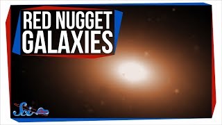 Red Nugget Galaxies The Universes Ultimate Survivors