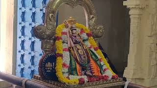 Sri Manavala Mamunigal Satrumurai - Thiruvekka Divyadesam