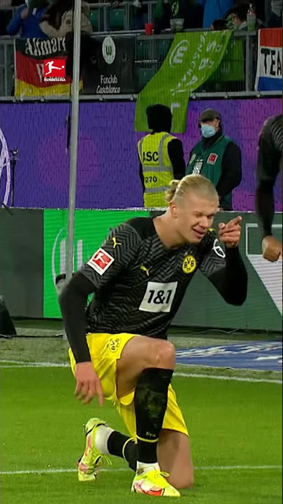 HAALAND Celebrates With Fan 🥶🫣