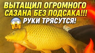 видео: 😱ВЫТАЩИЛ ОГРОМНОГО САЗАНА, БЕЗ ПОДСАКА! РУКИ ТРЯСУТСЯ!😱 картинка: 😱ВЫТАЩИЛ ОГРОМНОГО САЗАНА, БЕЗ ПОДСАКА! РУКИ ТРЯСУТСЯ!😱