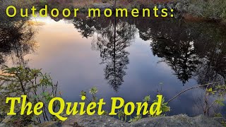 Outdoor Moments - the quiet pond