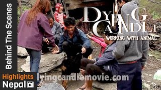 New Nepali Movie DYING CANDLE Behind The Scenes 2017/2073 | Working With Animals