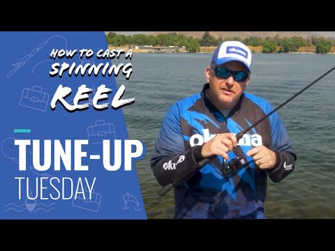 Fishing Tips] How To Cast A Spinning Reel - FAQs