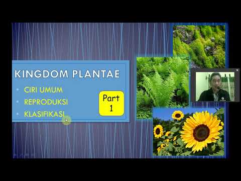 PLANTAE PART 1 (REPRODUKSI DAN KLASIFIKASI)