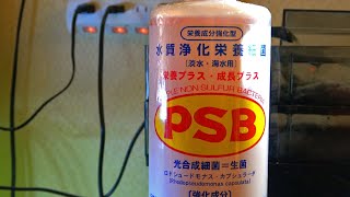 PSB　光合成細菌について