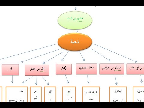 المحاضرة الخامسة التخريج على المدارات الأصلي والفرعي والمتابعات د أمل حامد