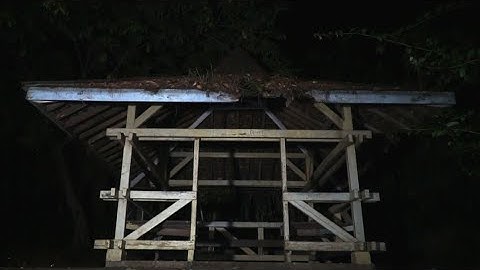 jurnalrisa #28 - PIKNIK MALAM DI KEBUN BINATANG (Special 500k Subscribers) Part 1