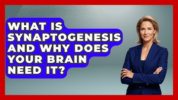 What Is Synaptogenesis And Why Does Your Brain Need It? - Brain Development Hub