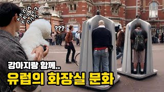 강아지랑 똑같이...? 컬쳐쇼크 유럽의 화장실 문화