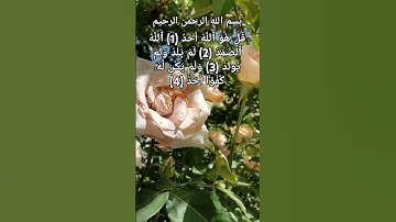 سورة الإخلاص ❤️ عبدالباسط عبدالصمد رحمه الله ❤️😘