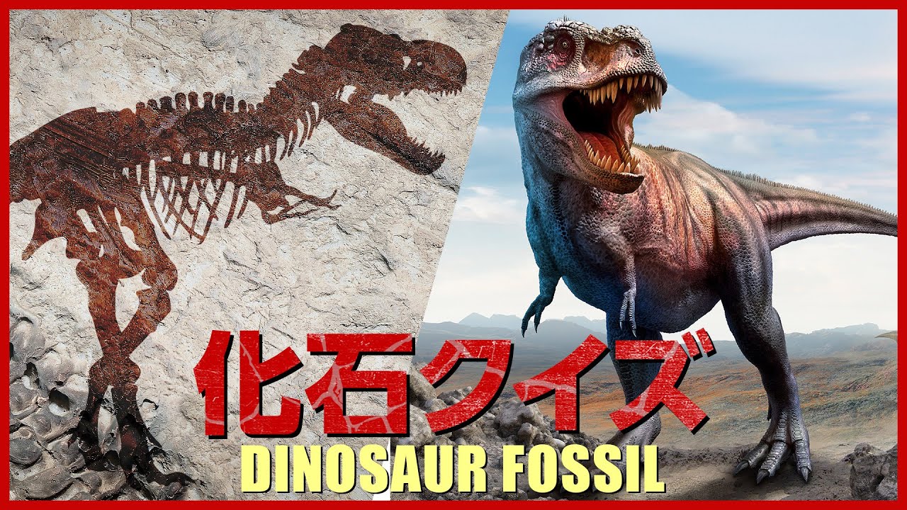 恐竜 古生物の化石クイズ ティラノサウルス スピノサウルス トリケラトプス ヴェロキラプトルなどのリアルでかっこいい恐竜の化石が登場 ダイナソー Dinosaur ジュラシック Jurassic Youtube