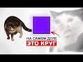 Числа, которые противоречат науке